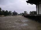 k009.jpg