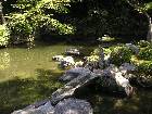 k019.jpg