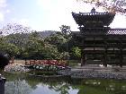 k021.jpg